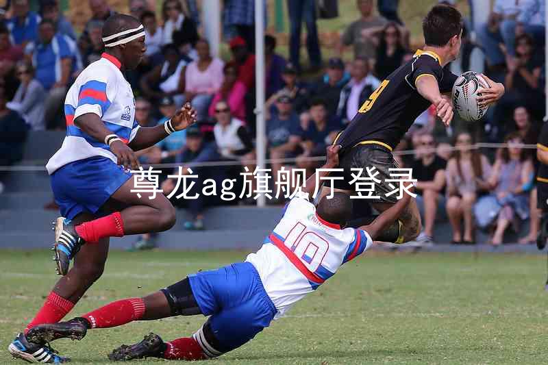 尊龙ag旗舰厅登录